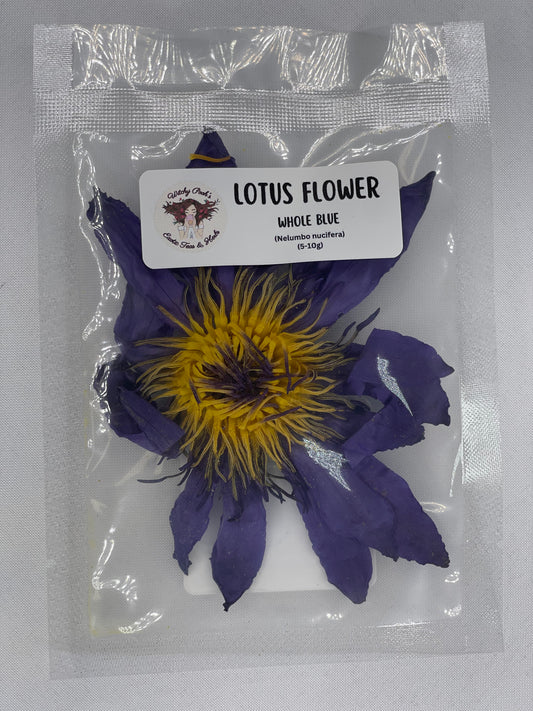 Witchy Pooh's Lotus Flowers, Whole Flowers Blue and Yellow For Tea, Sleep Aid and Enlightenment Rituals
