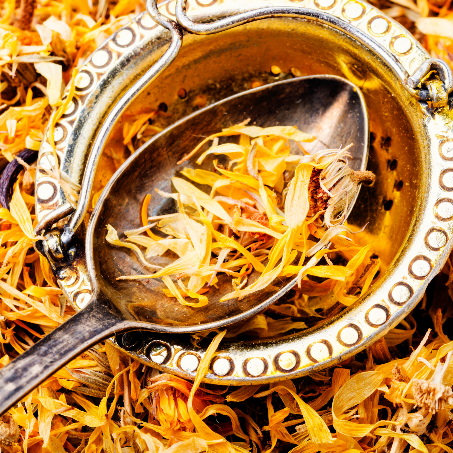 Witchy Pooh's Marigold Flower Petal Loose Leaf Calendula Herbal Tea For Wealth Rituals, Caffeine Free