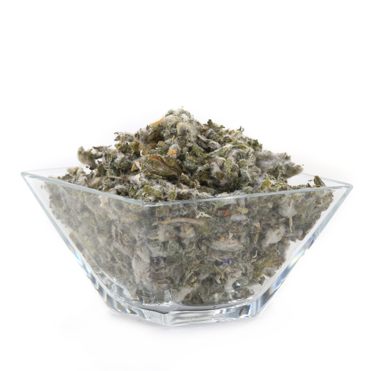 Witchy Pooh's Mullein Leaf Herb for Smudging, Ritual to Cleanse and Empower the Aura