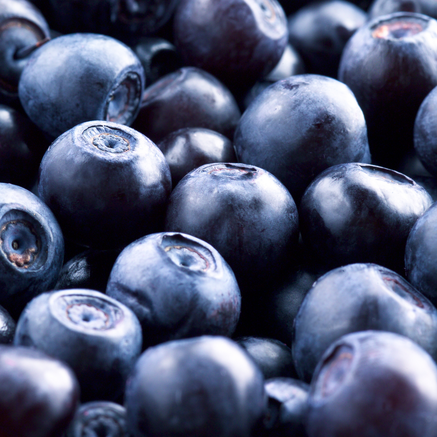 Bilberry Fruit Whole Soft and Chewy Berry Snack, Exotic Berries Great for Trail Mix