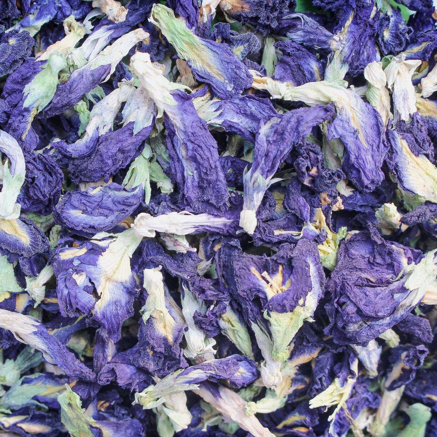 Butterfly Pea Flower Loose Leaf Herbal Blue Colored Tea, Add Lime to Turn Purple!