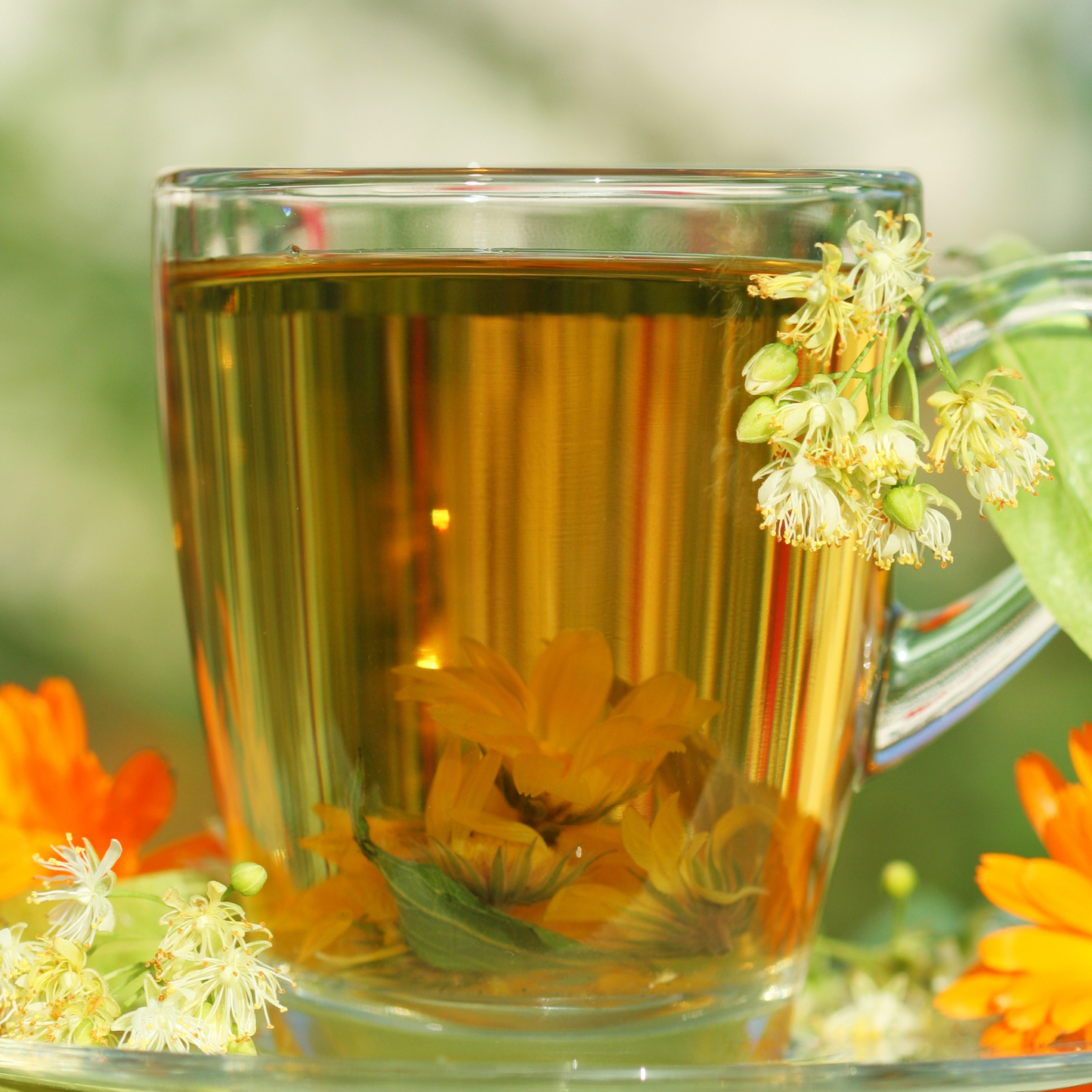 Marigold Flower Petal Loose Leaf Calendula Herbal Tea For Wealth Rituals, Caffeine Free