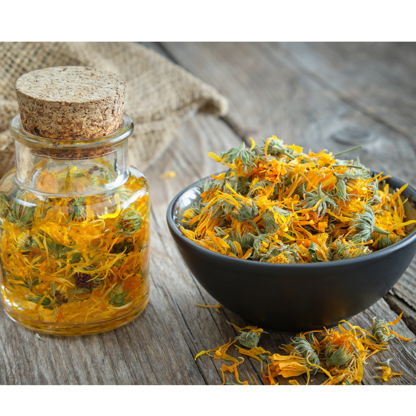 Arnica Flowers, Whole Flowers, Dried Herbs, Food Grade Herbs, Herbs and Spices, Loose Leaf Herbs