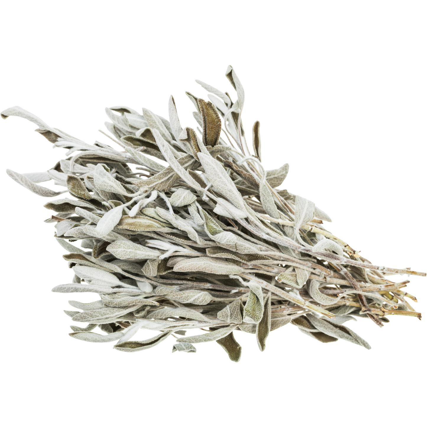 Witchy Pooh's White Sage Whole Leaf for Smudging, Purification and Ritual
