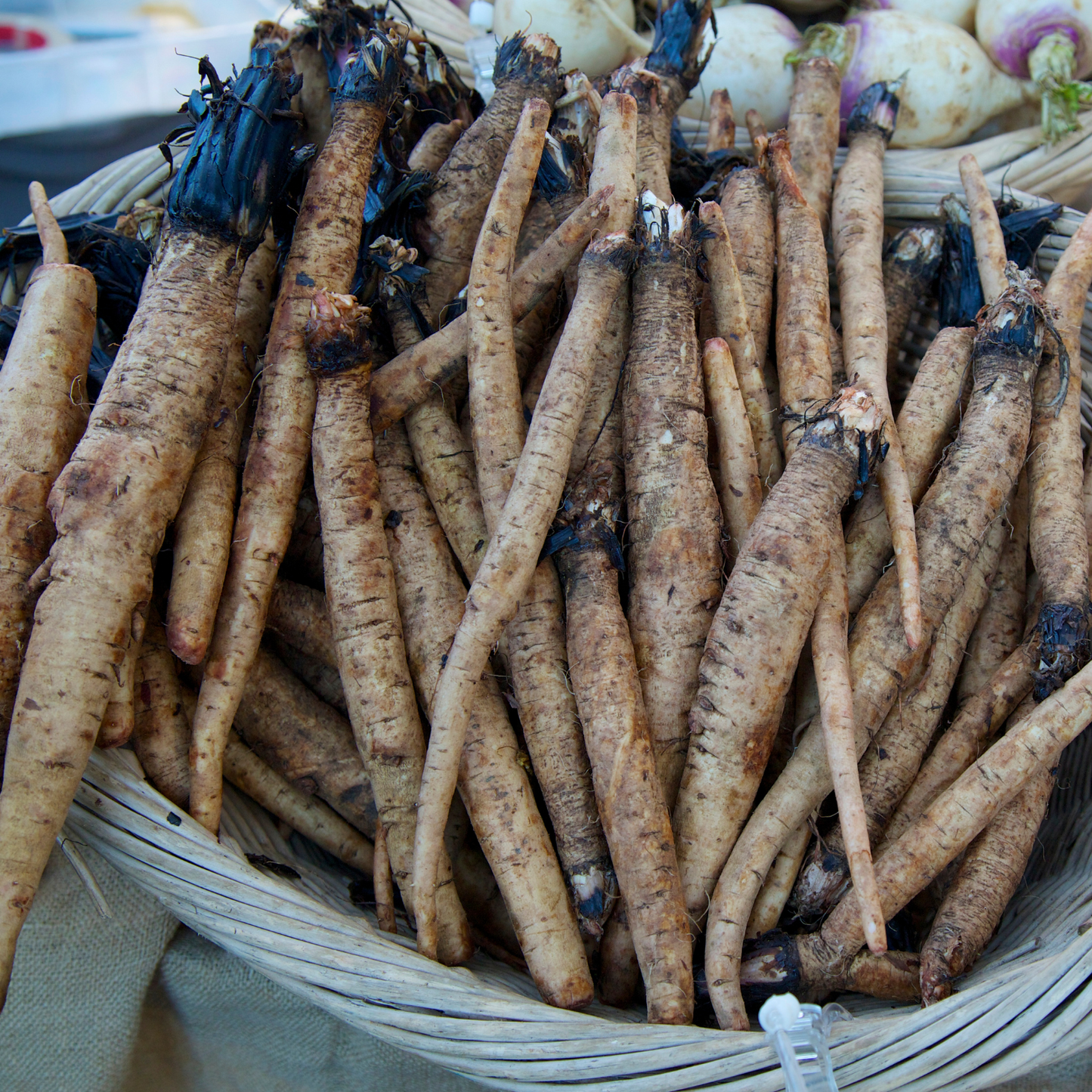 Burdock Root, Pieces of Root, Dried Herbs, Food Grade Herbs, Herbs and Spices, Loose Leaf Herbs