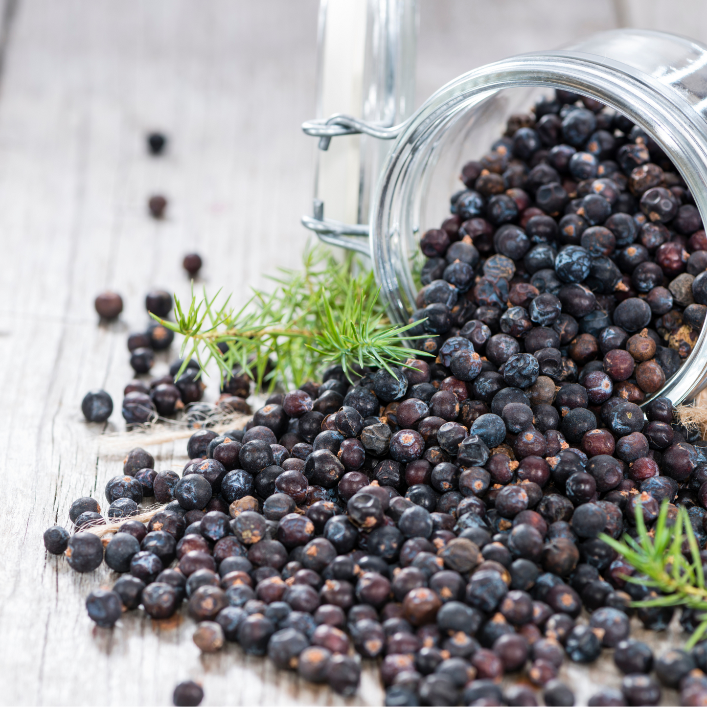 Witchy Pooh's Juniper Berries For Simmer Pots, Cooking and  Rituals to Ward Off Negativity
