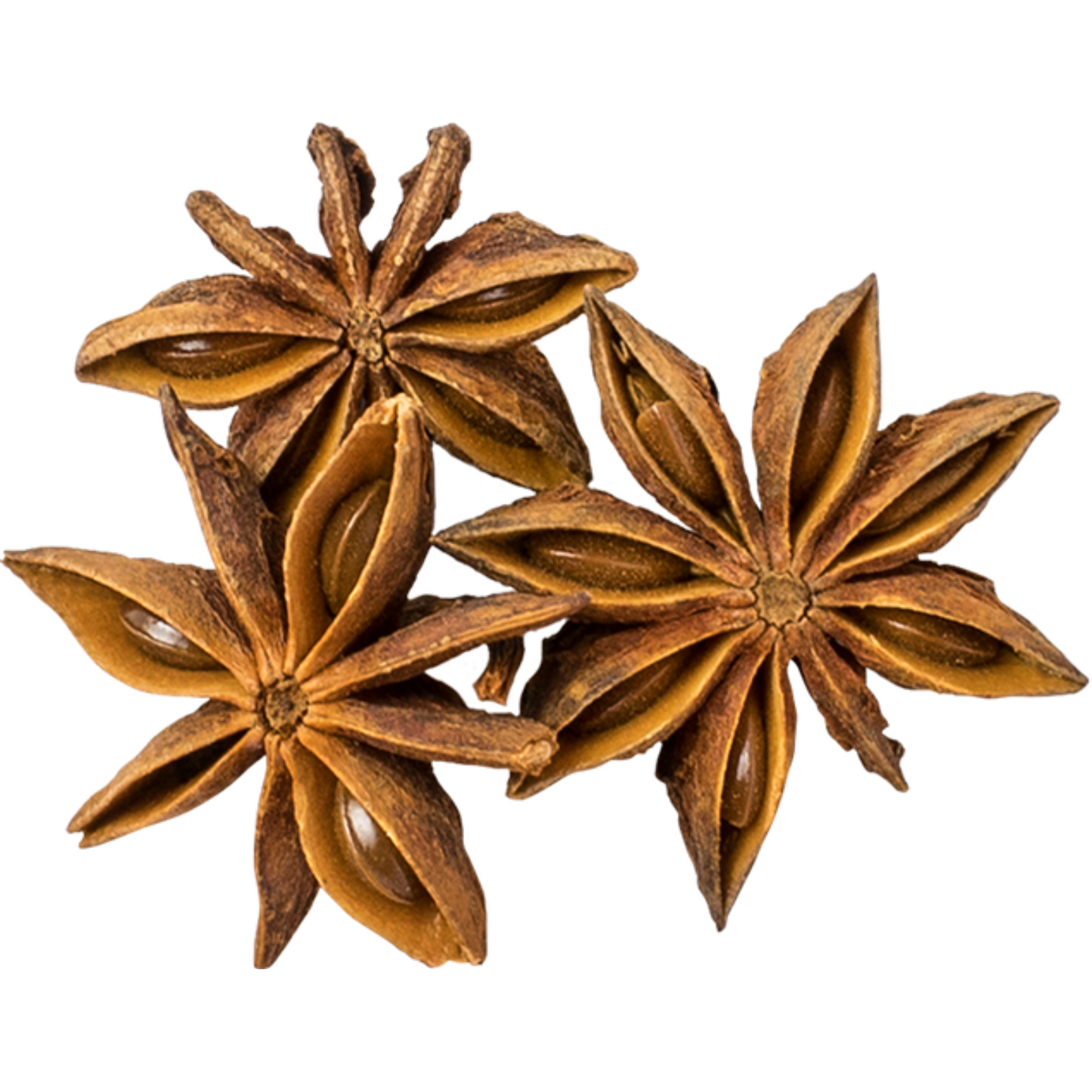 Anise Stars, Wole and Pieces, Dried Herbs, Food Grade Herbs, Herbs and Spices, Loose Leaf Herbs