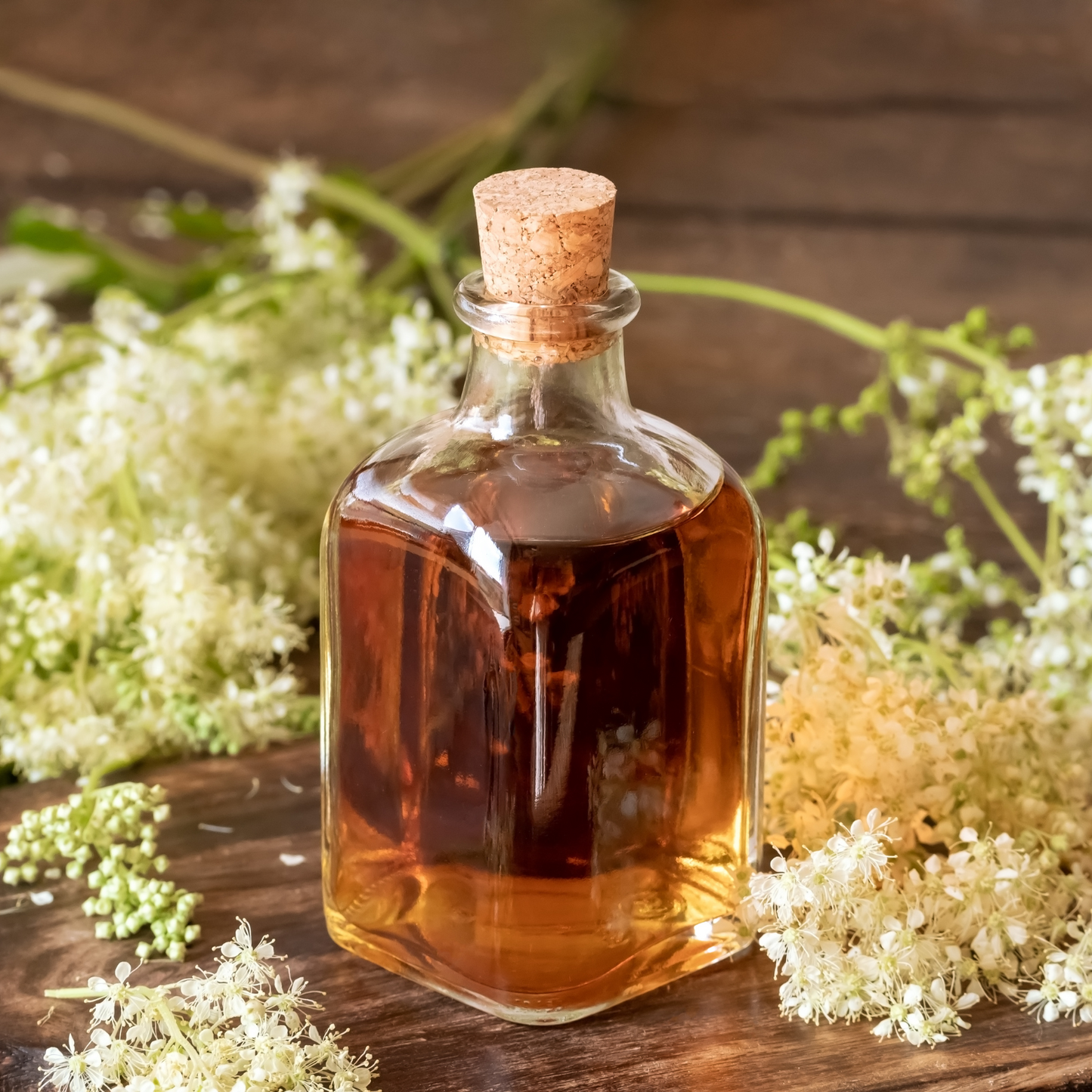 Meadowsweet Herb Symbolizes Healing, Peace, Mind and Body