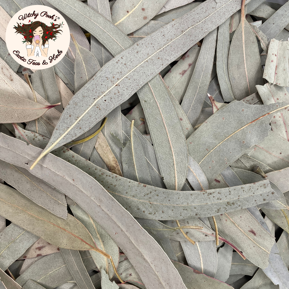 Witchy Pooh's Eucalyptus -Whole Loose Leaves - Image 4