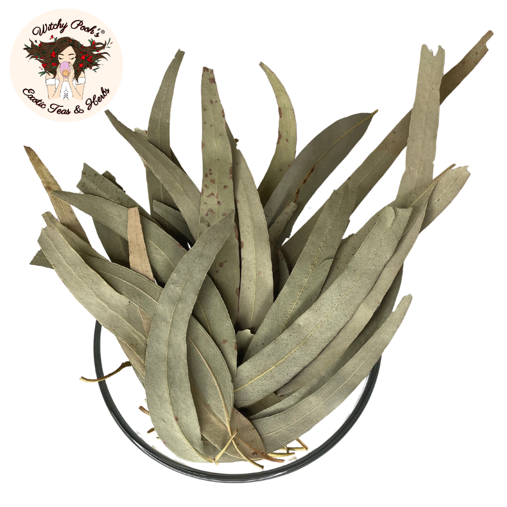 Witchy Pooh's Eucalyptus -Whole Loose Leaves - Image 12