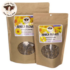 Witchy Pooh's Arnica Tea- Whole Flowers, Caffeine Free