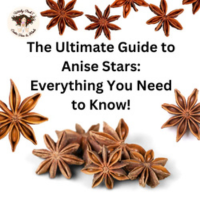 The Ultimate Guide to Anise Stars: Everything You Need to Know!